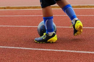 爱游戏体育app-NBA球员训练营最新发展动态，nba球员日常训练项目