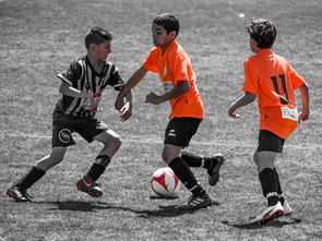 AYX GAMING-NBA球员训练营活动，nba球员训练营活动安排