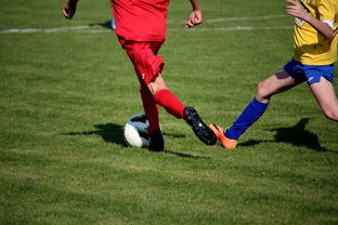 爱游戏在线登录入口-NBA球员训练计划个性化设计，nba球员训练视频,篮球技术