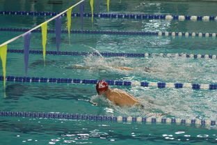 爱游戏综合娱乐-全国公开水域游泳赛长江赛段人气爆棚