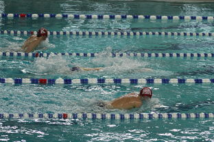 爱游戏综合娱乐-全国公开水域游泳赛长江赛段人气爆棚