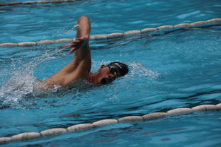 爱游戏综合娱乐-全国公开水域游泳赛长江赛段人气爆棚