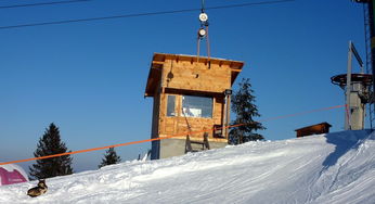 AYXSPORTSAPP-自由式滑雪国家集训队新阵容公布,自由式滑雪障碍追逐国家队