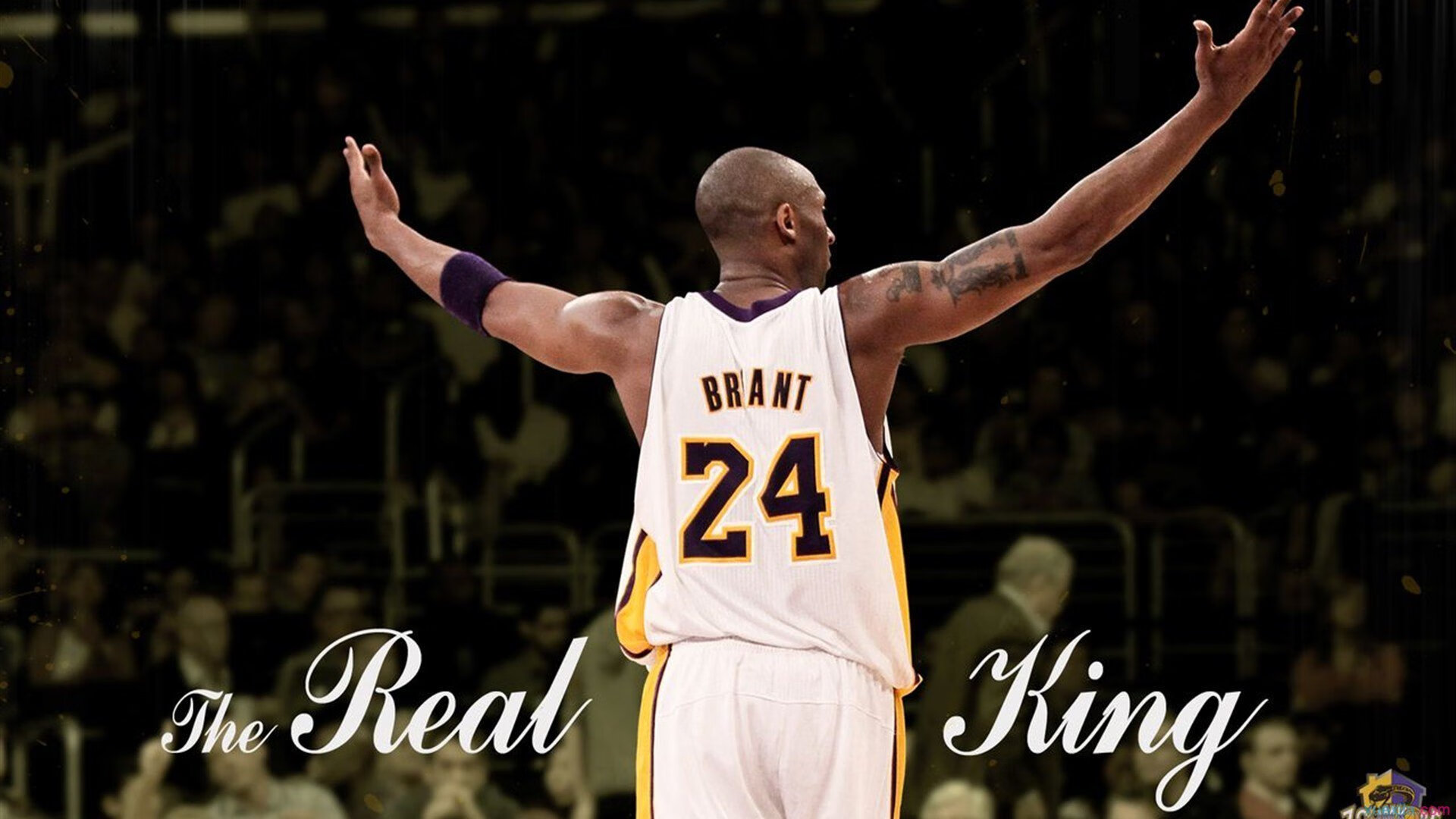 爱游戏下载-马术比赛观众数量再创新高，马术比赛观众数量再创新高怎么算