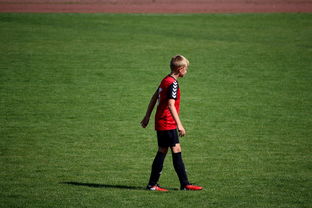 AYXSPORTSAPP-勇士训练时长延长球员投入度高，勇士训练短袖