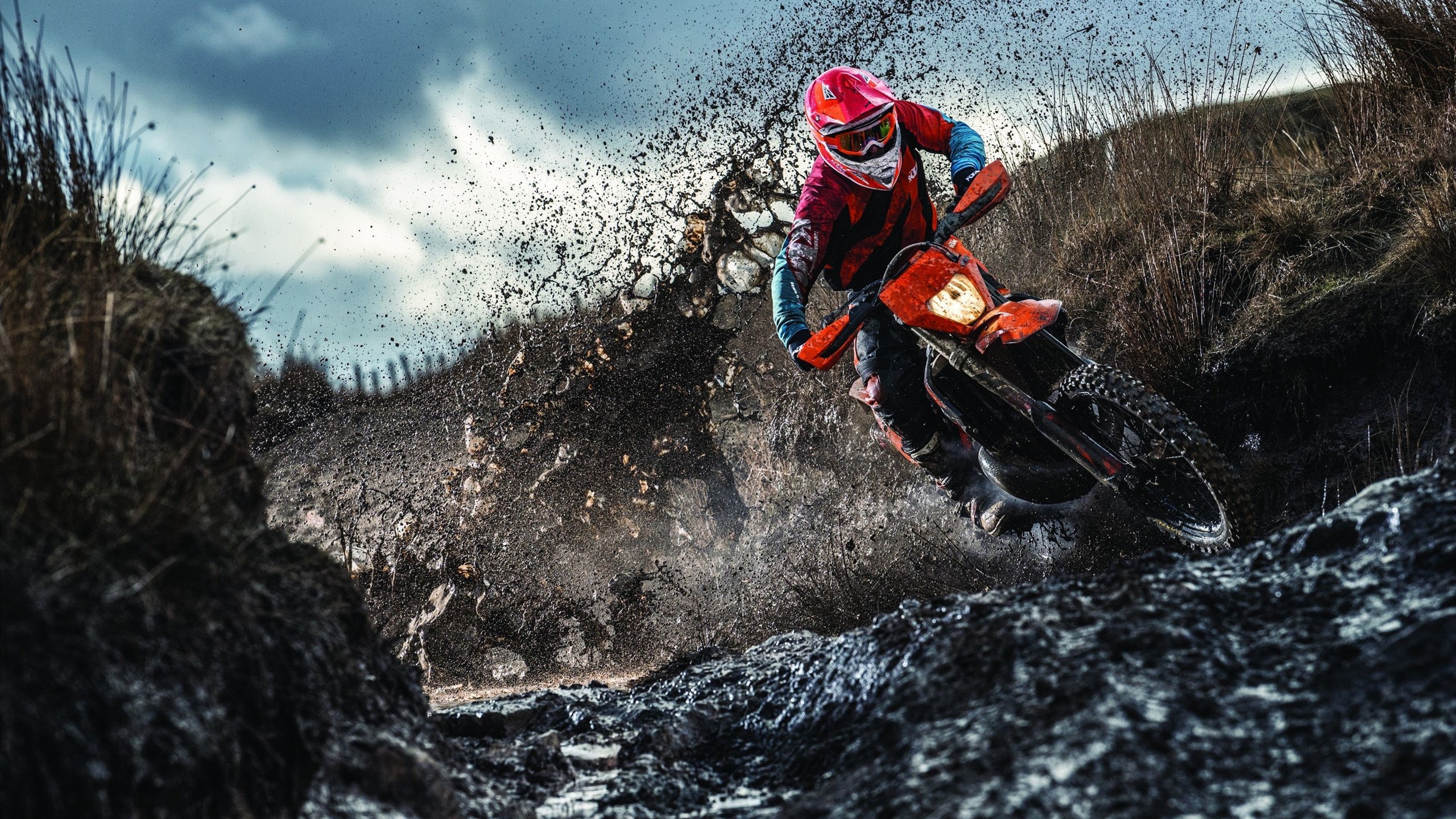 -特色足球运动主题的文化创意园区逐步兴起，丰富城市文化生活，足球特色园园所标语