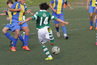 爱游戏娱乐平台-五大联赛解说风格影响观赛体验满意度,五大联赛的风格与特点