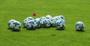 爱游戏综合娱乐-今日焦点:弗莱堡有望造冷,弗莱堡在德国的位置